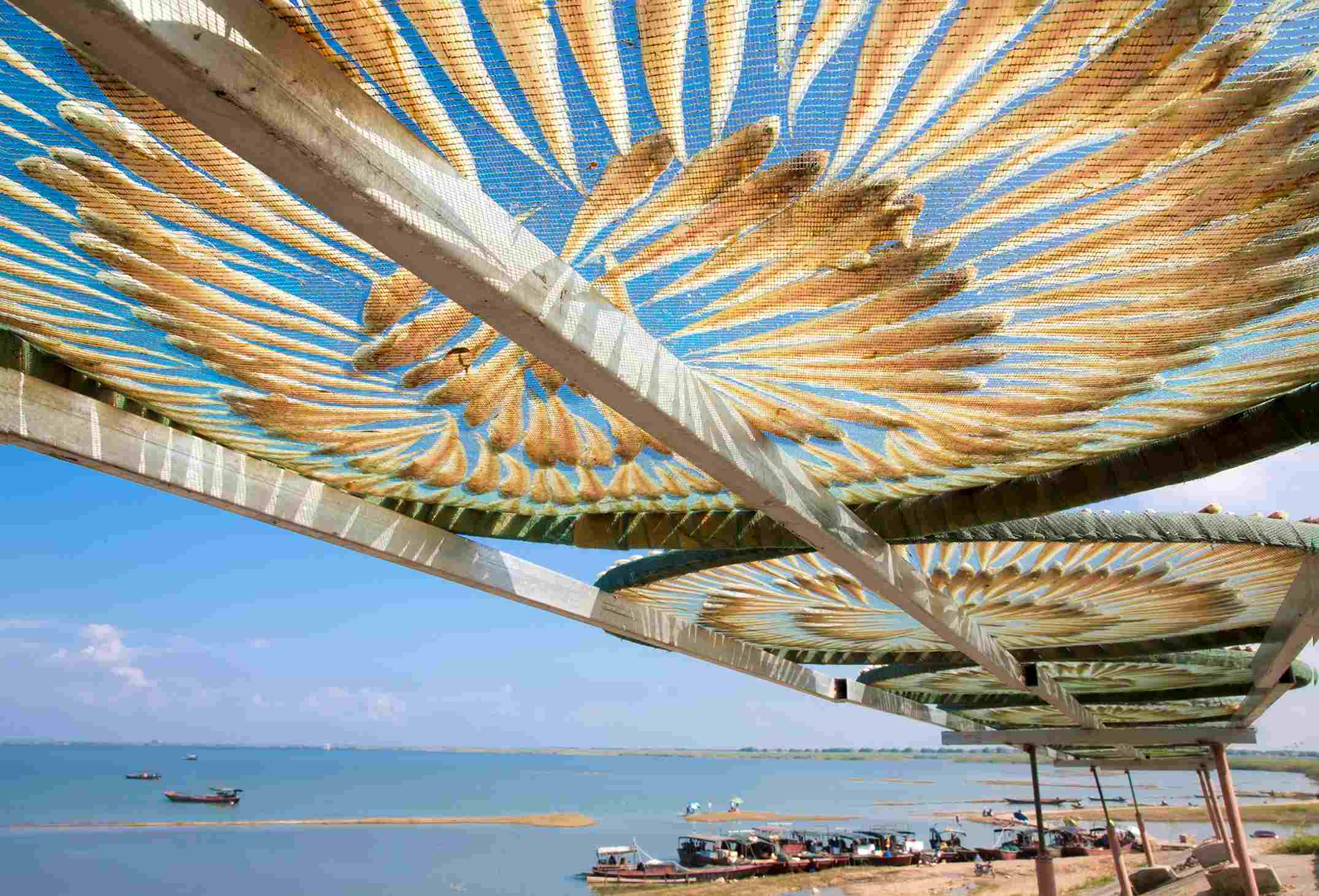 ����բ�����