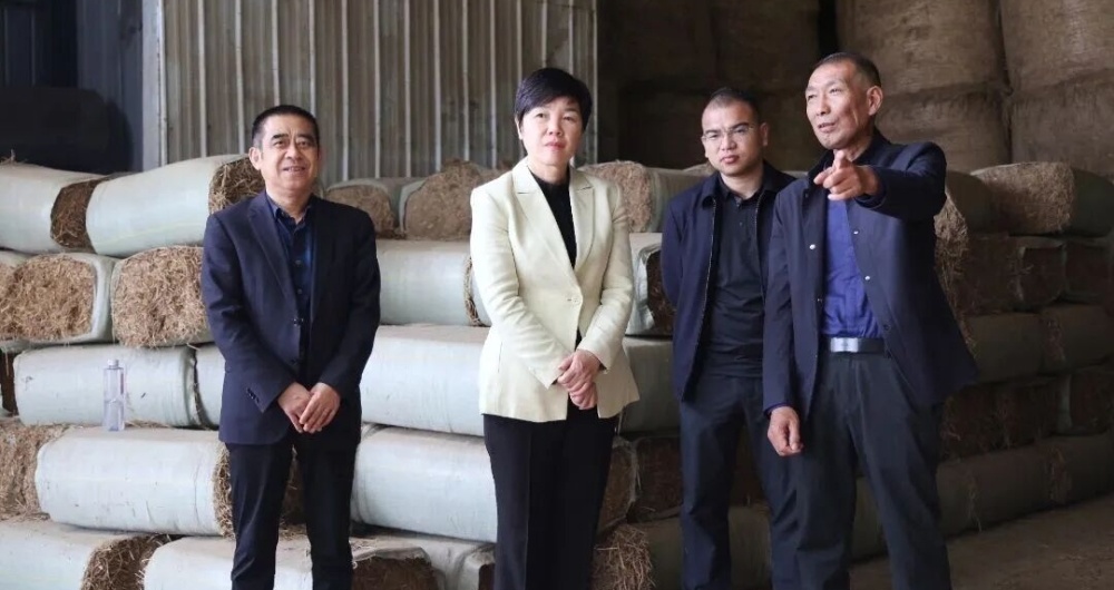 ����������������